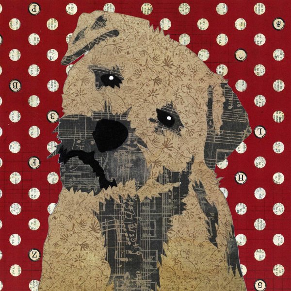 Border Terrier - Animal Collage by Clare Thompson
