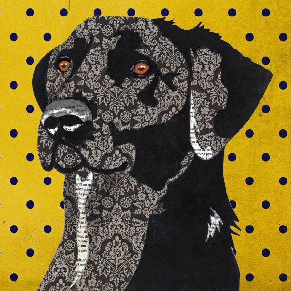 Black Labrador - Animal Collage by Clare Thompson