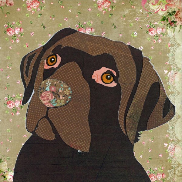 Chocolate Labrador - Animal Collage by Clare Thompson