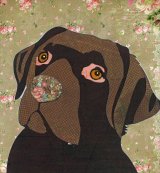 Chocolate Labrador - Animal Collage by Clare Thompson