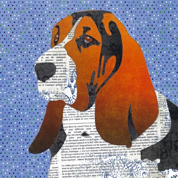 Bassett Hound - Animal Collage by Clare Thompson