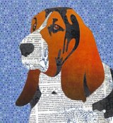 Bassett Hound - Animal Collage by Clare Thompson