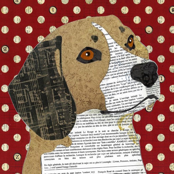 Beagle - Animal Collage by Clare Thompson