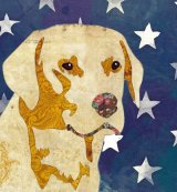 Golden Labrador - Animal Collage by Clare Thompson