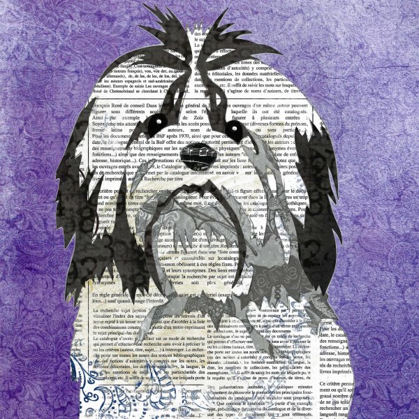 Shih Tzu - Animal Collage by Clare Thompson