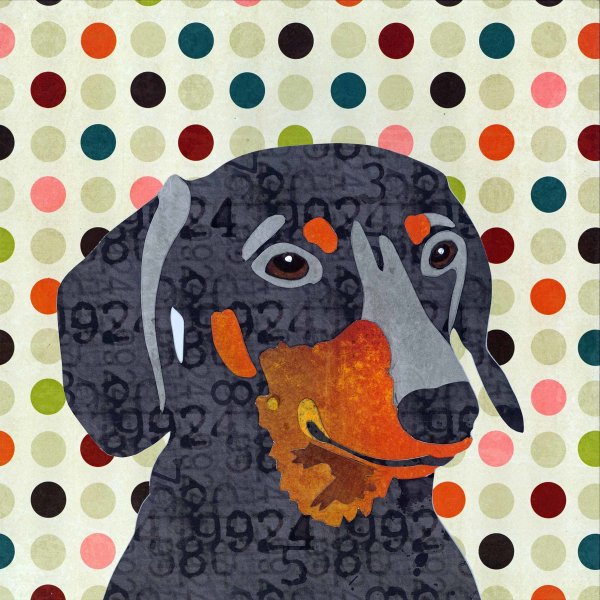 Dachshund - Animal Collage by Clare Thompson
