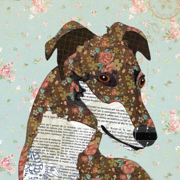 Greyhound - Animal Collage by Clare Thompson