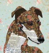 Greyhound - Animal Collage by Clare Thompson