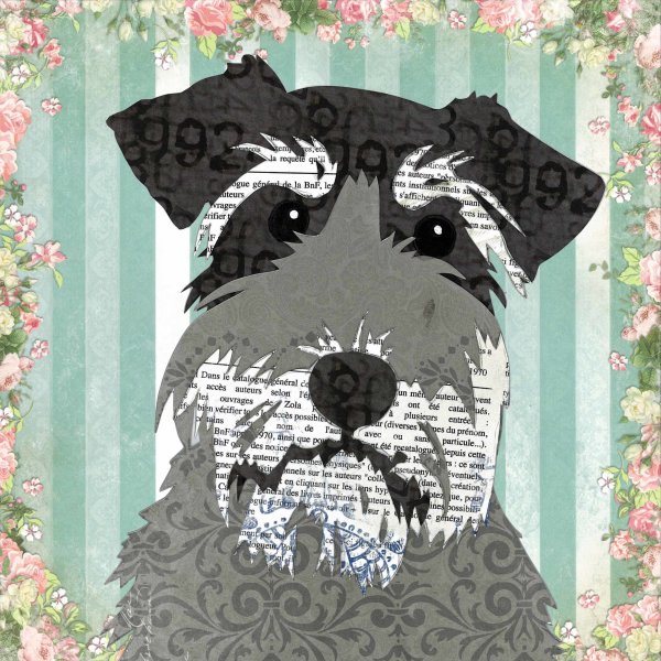 Schnauzer - Animal Collage by Clare Thompson