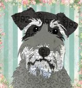 Schnauzer - Animal Collage by Clare Thompson