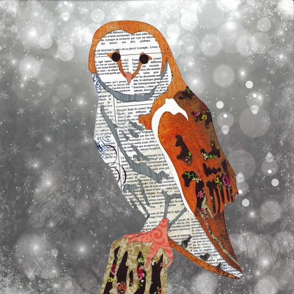 Owl - Animal Collage by Clare Thompson