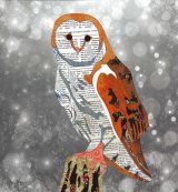Owl - Animal Collage by Clare Thompson