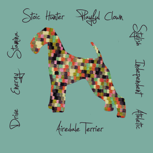 Airedale Terrier Dog Breed Traits Print