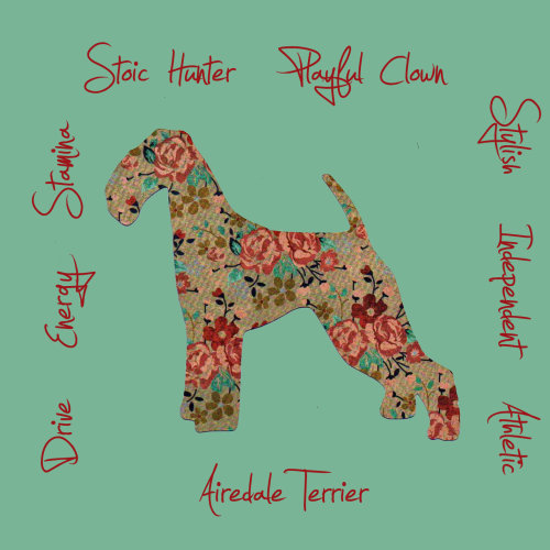 Airedale Terrier Dog Breed Traits Print