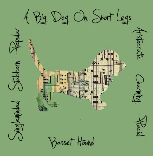 Basset Hound Dog Breed Traits Print