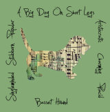Basset Hound Dog Breed Traits Print