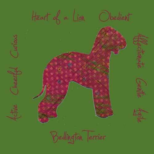 Bedlington Terrier Dog Breed Traits Print