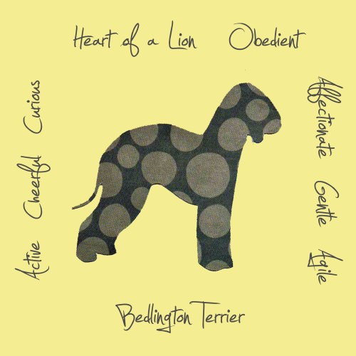 Bedlington Terrier Dog Breed Traits Print