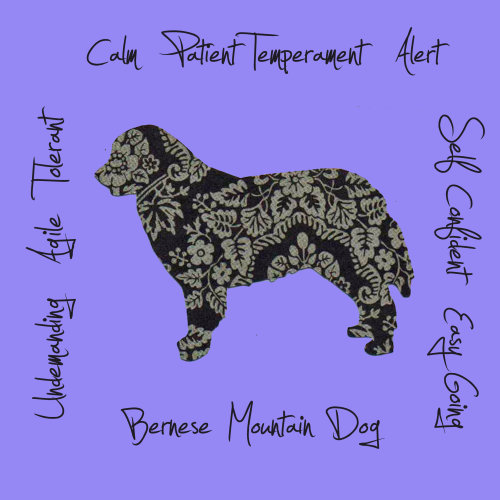Bernese Mountain Dog Dog Breed Traits Print