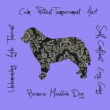 Bernese Mountain Dog Dog Breed Traits Print