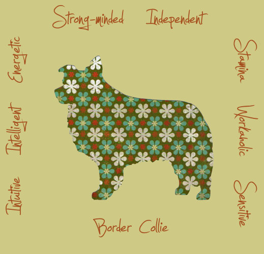 Border Collie Dog Breed Traits Print