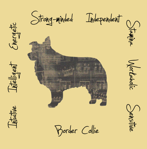 Border Collie Dog Breed Traits Print