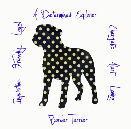 Border Terrier Dog Breed Traits Print