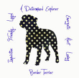 Border Terrier Dog Breed Traits Print