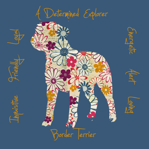 Border Terrier Dog Breed Traits Print
