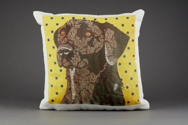 Labrador Cushion by Clare Thompson