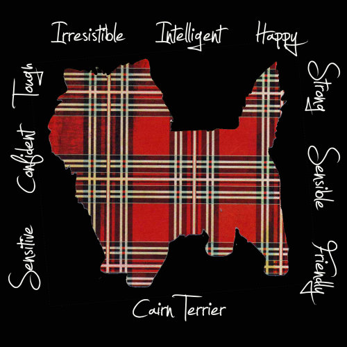 Cairn Terrier Dog Breed Traits Print