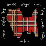 Cairn Terrier Dog Breed Traits Print