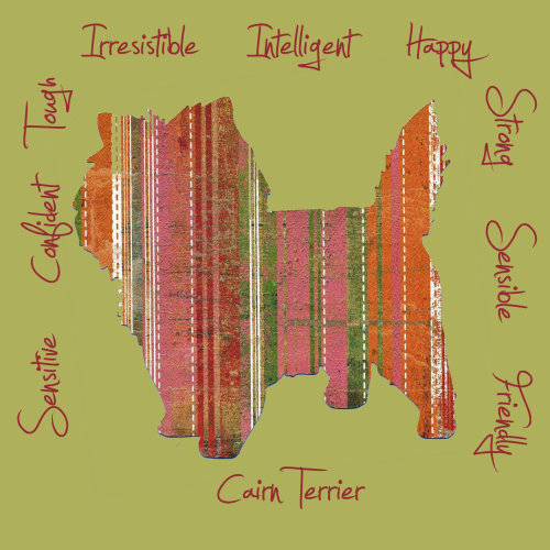 Cairn Terrier Dog Breed Traits Print