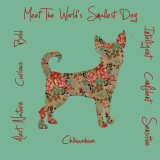 Chihuahua Dog Breed Traits Print