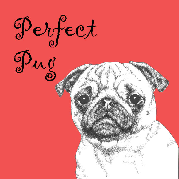 Perfect Pug Dog Breed Print by Clare Thompson
