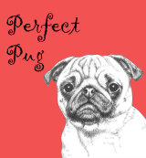 Perfect Pug Dog Breed Print by Clare Thompson