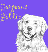 Gorgeous Goldie Golden Retriever Dog Breed Print by Clare Thompson