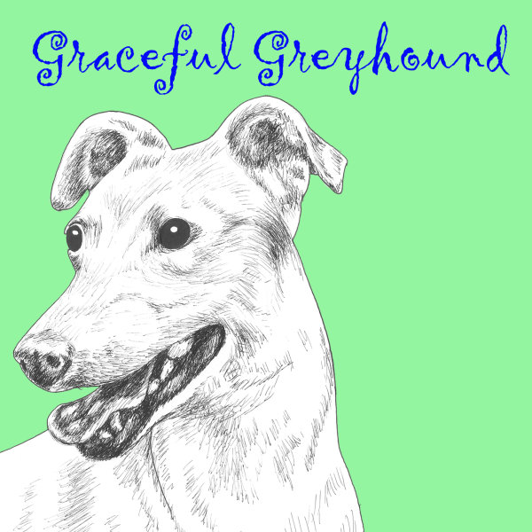 Graceful Greyhound Dog Breed Print by Clare Thompson