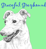 Graceful Greyhound Dog Breed Print by Clare Thompson