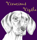 Vivacious Vizsla Dog Breed Print by Clare Thompson