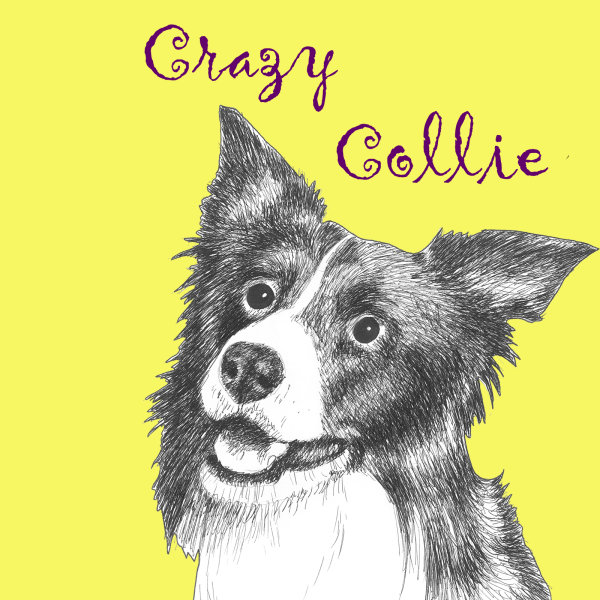 Crazy Collie Dog Breed Print by Clare Thompson