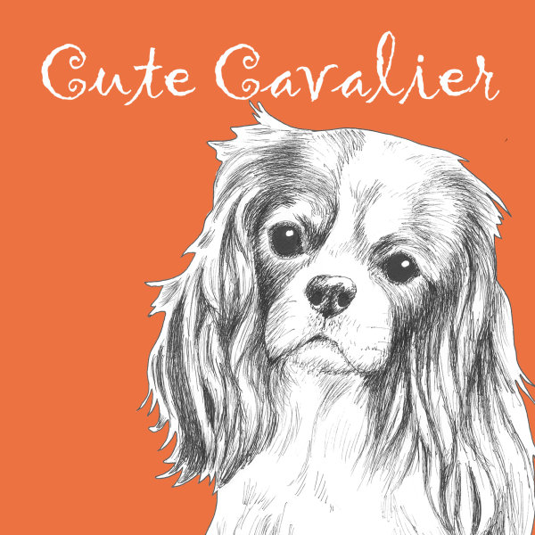Cute Cavalier King Charles Dog Breed Print by Clare Thompson