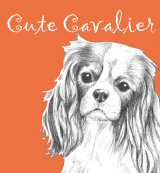 Cute Cavalier King Charles Dog Breed Print by Clare Thompson