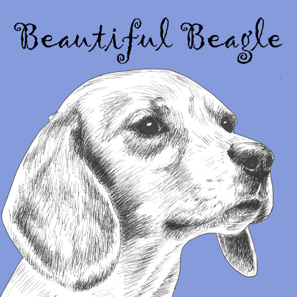 Beautiful Beagle Dog Breed Print by Clare Thompson
