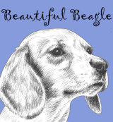 Beautiful Beagle Dog Breed Print by Clare Thompson