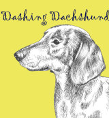 Dashing Dachshund Dog Breed Print by Clare Thompson