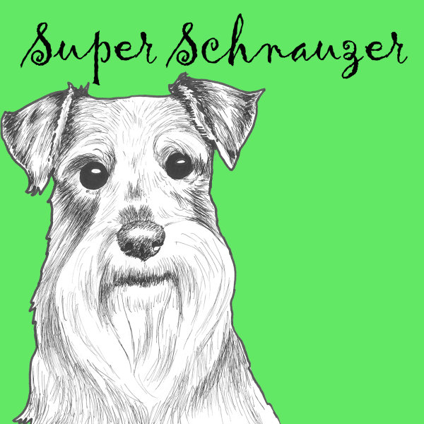 Super Schnauzer Dog Breed Print by Clare Thompson