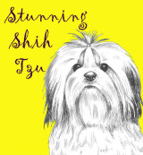 Stunning Shih Tzu Dog Breed Print by Clare Thompson