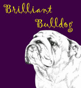 Brilliant Bulldog Dog Breed Print by Clare Thompson