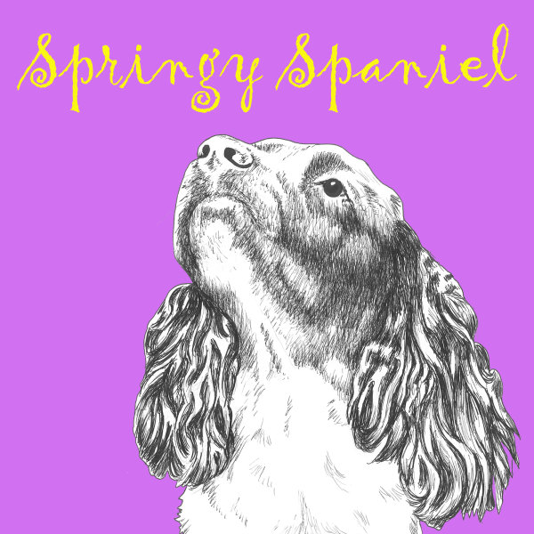Springy Spaniel Dog Breed Print by Clare Thompson